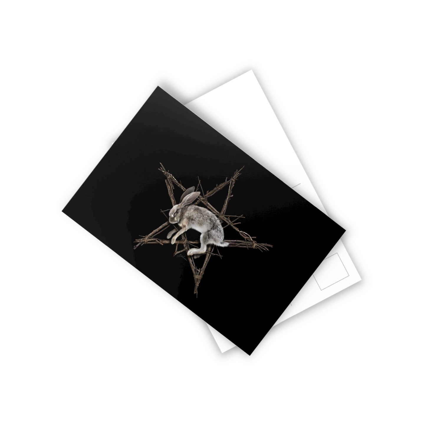 Fallen Star witchcraft postcards 10-pack — rabbit pentagram dark folk art by Mister Sam Shearon