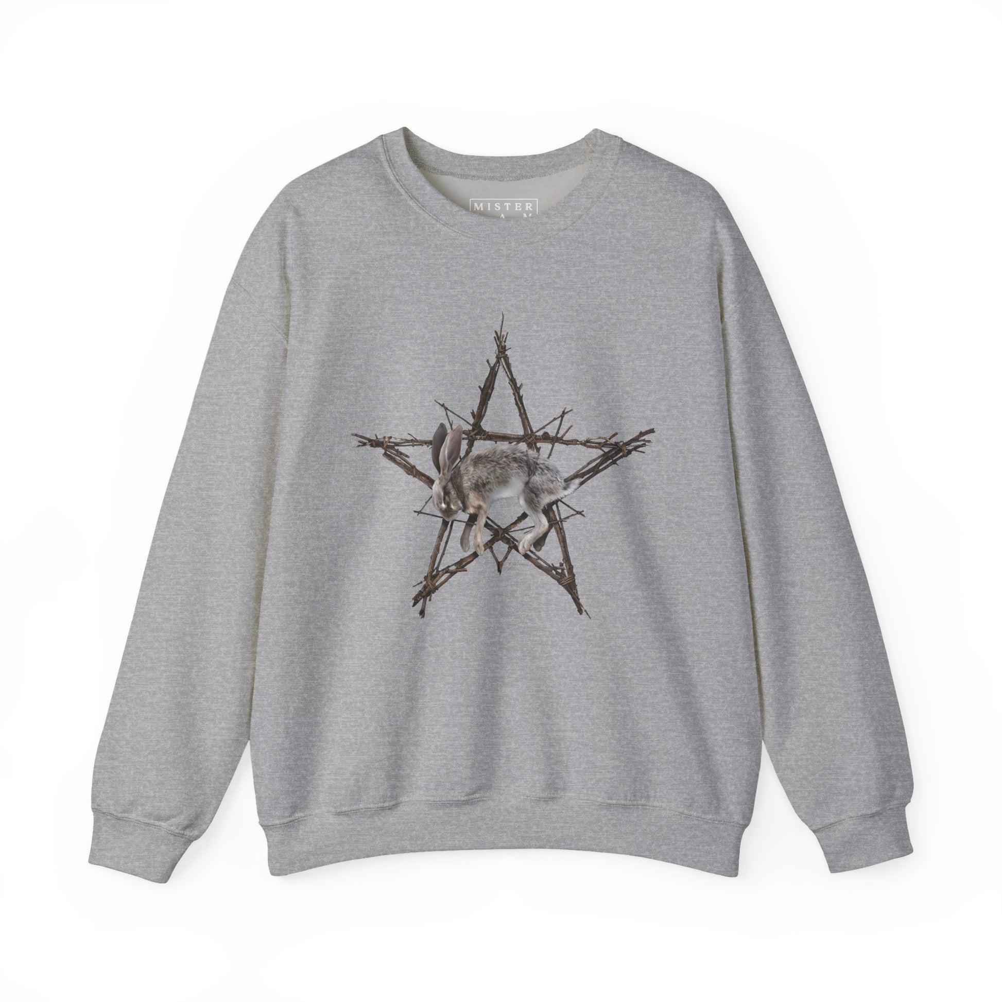 Fallen Star sweatshirt grey — occult artwork by Mister Sam Shearon