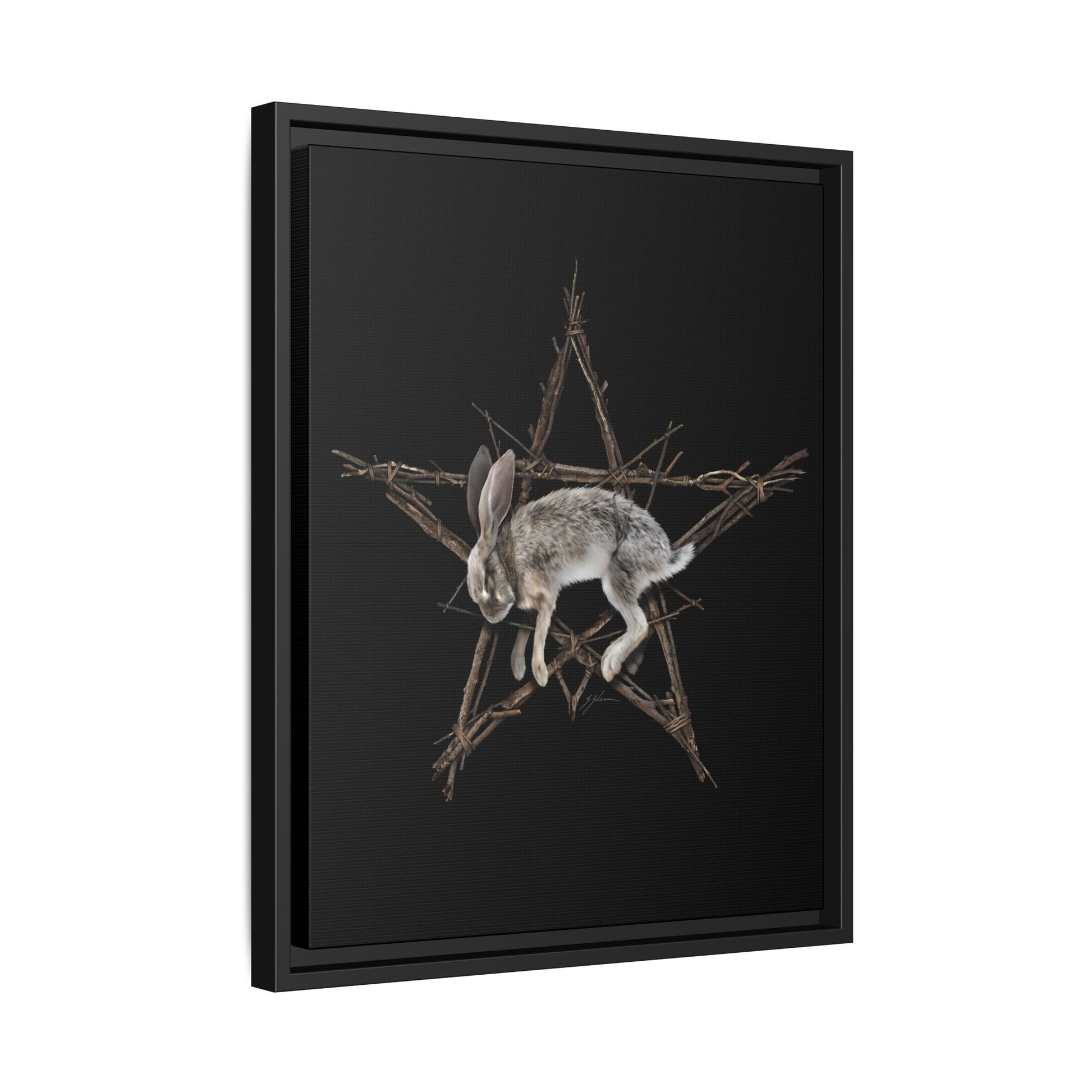 Fallen Star matte canvas detail — gothic witchcraft home decor by Mister Sam Shearon