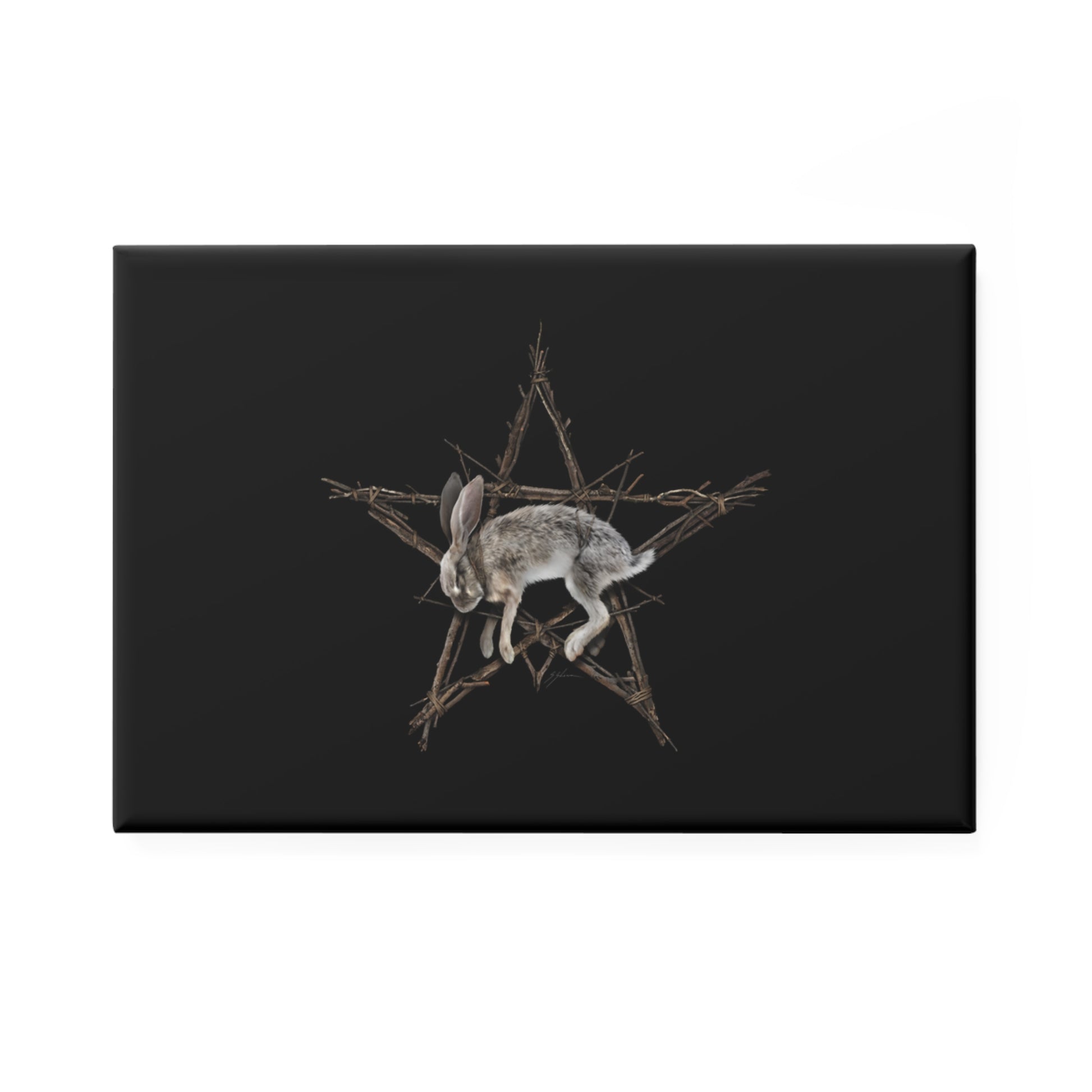Fallen Star witchcraft button magnet — rabbit pentagram dark folk art by Mister Sam Shearon