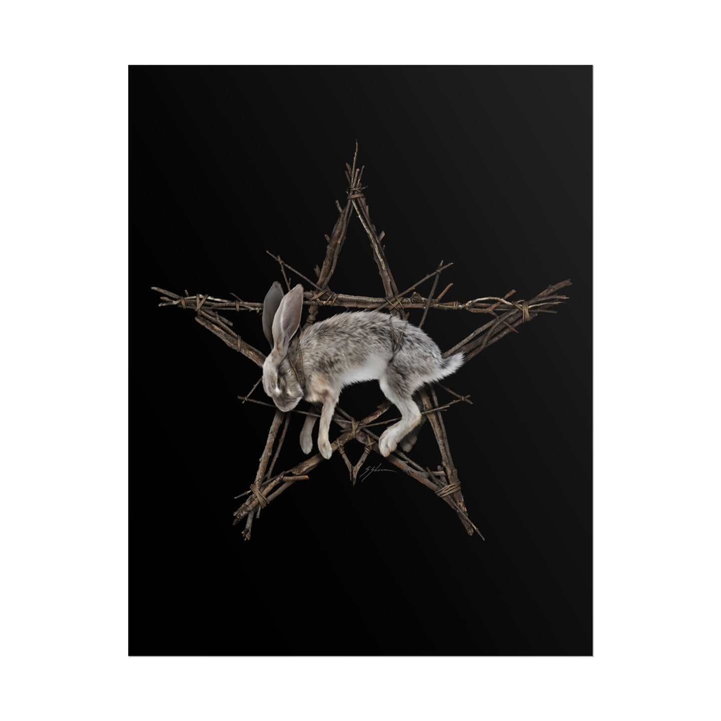 Fallen Star rolled poster — witchcraft dark art by Mister Sam Shearon