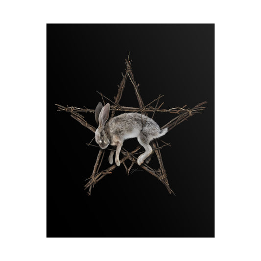 Fallen Star rolled poster — witchcraft dark art by Mister Sam Shearon