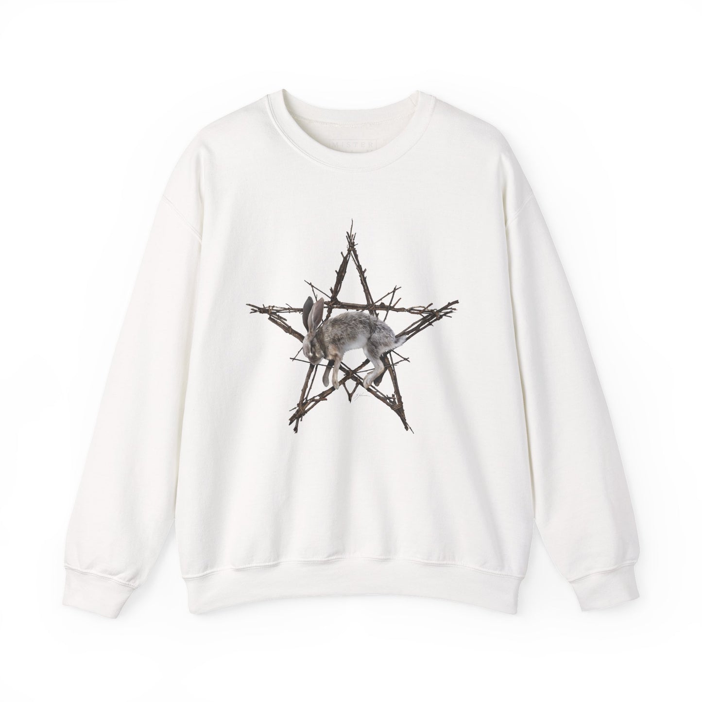 Fallen Star crewneck sweatshirt white — Mister Sam Shearon witchcraft dark art design