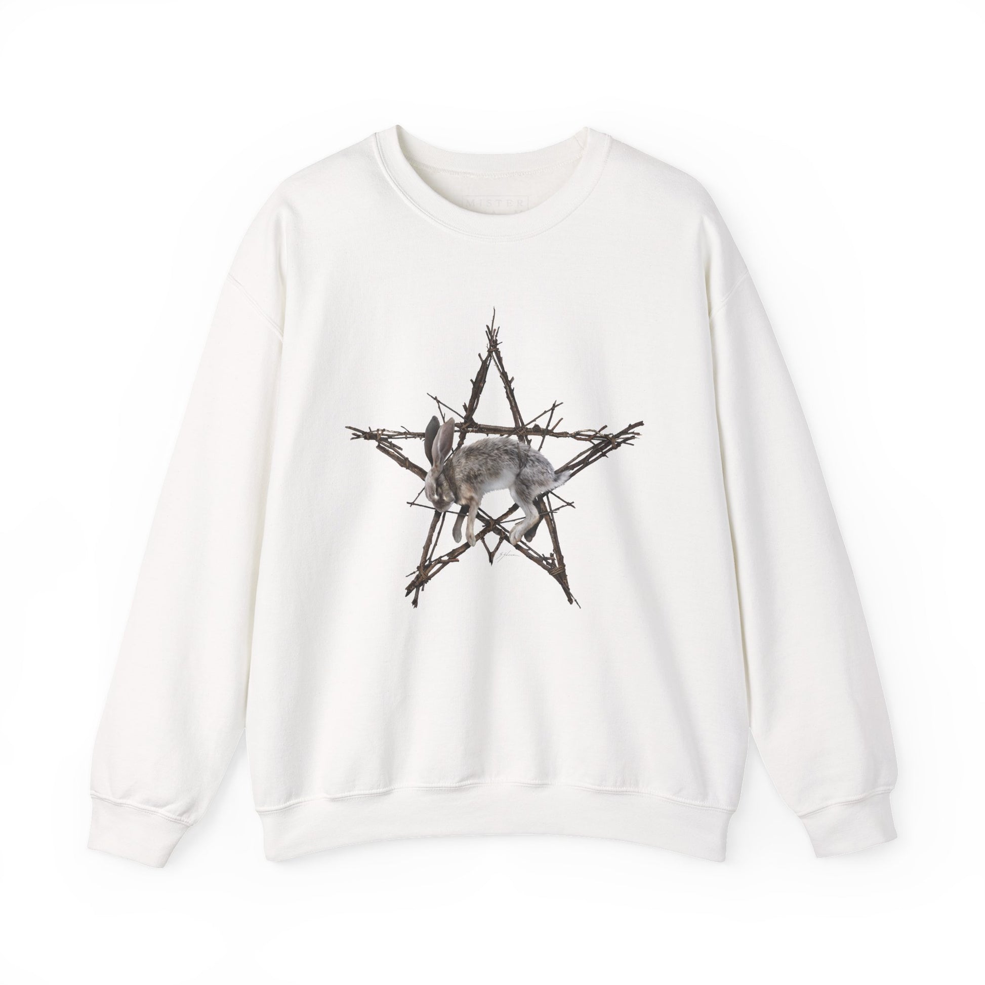 Fallen Star crewneck sweatshirt white — Mister Sam Shearon witchcraft dark art design