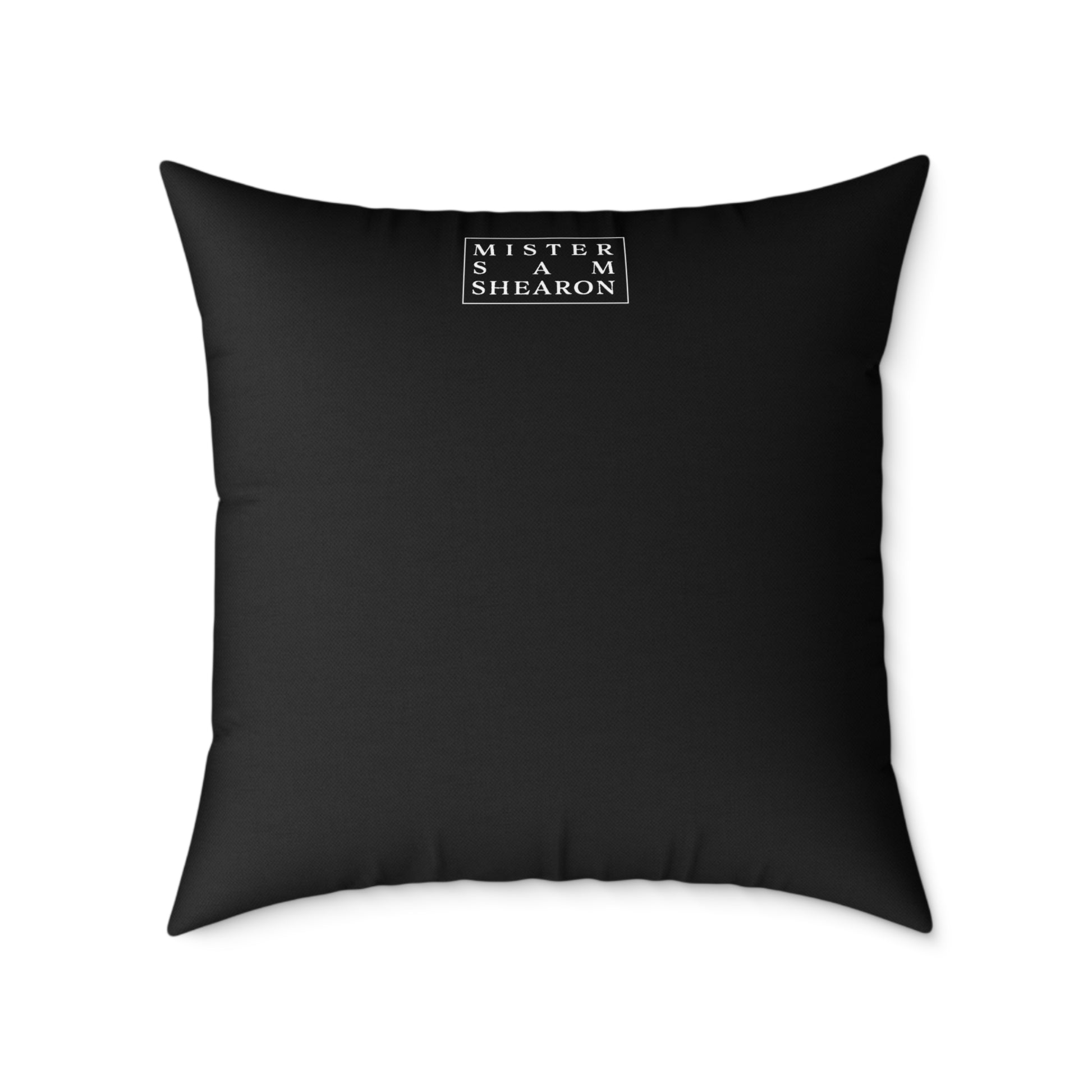 Edgar Allan Poe pillow on sofa — Victorian horror dark art home decor by Mister Sam Shearon
