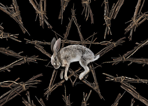 Fallen Star witchcraft jigsaw puzzle pieces — original dark folk art by Mister Sam Shearon