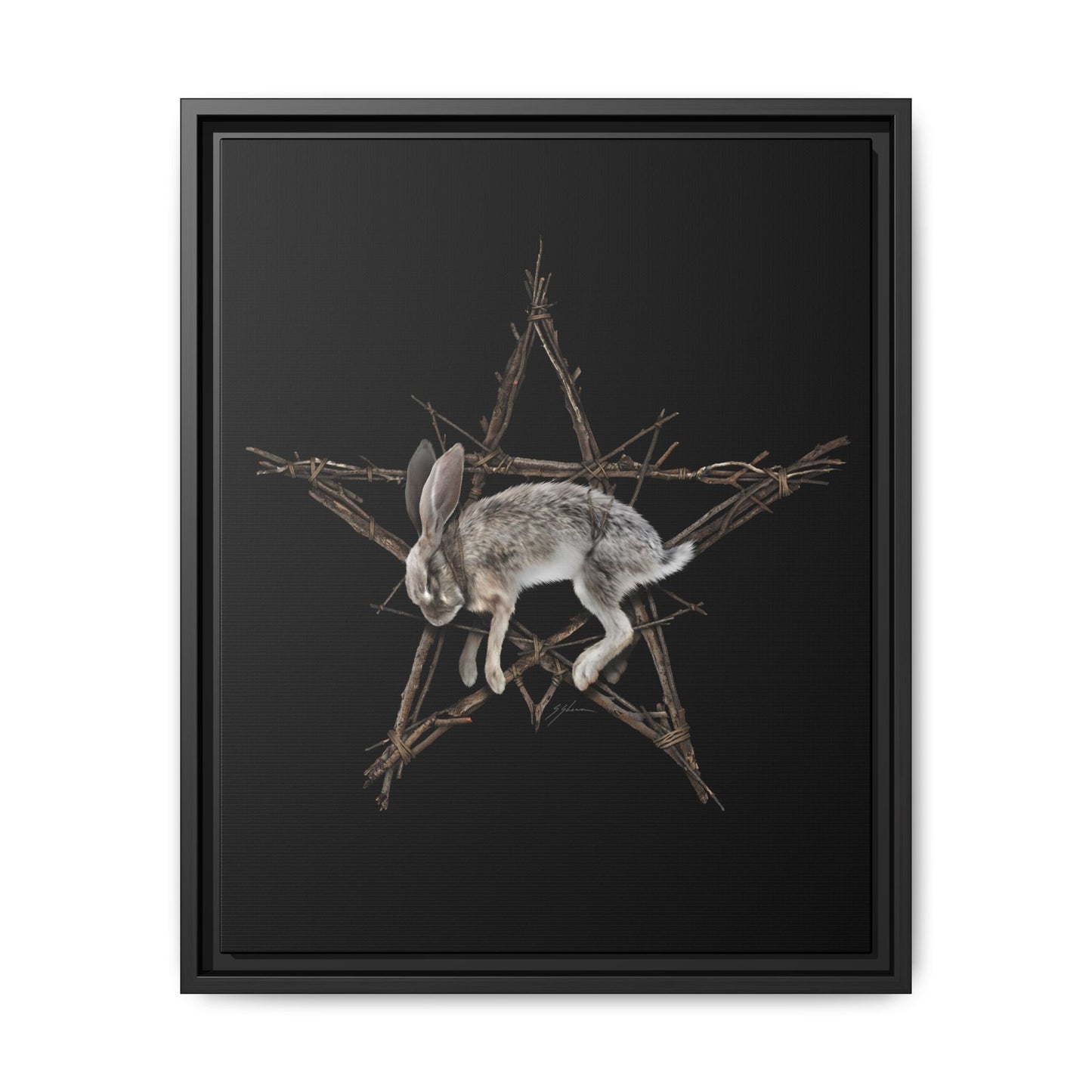 Fallen Star framed matte canvas — witchcraft dark art by Mister Sam Shearon