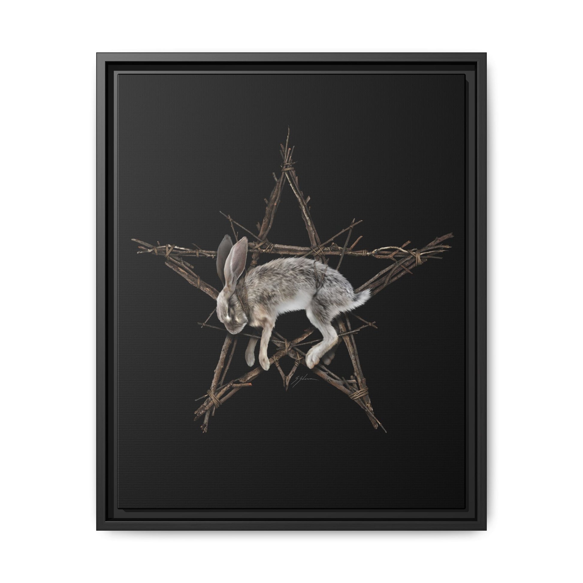 Fallen Star framed matte canvas — witchcraft dark art by Mister Sam Shearon