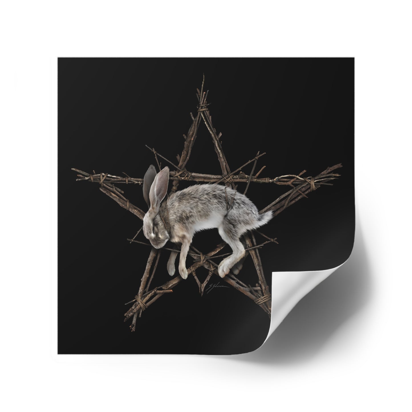 Fallen Star witchcraft square sticker — rabbit pentagram dark folk art by Mister Sam Shearon