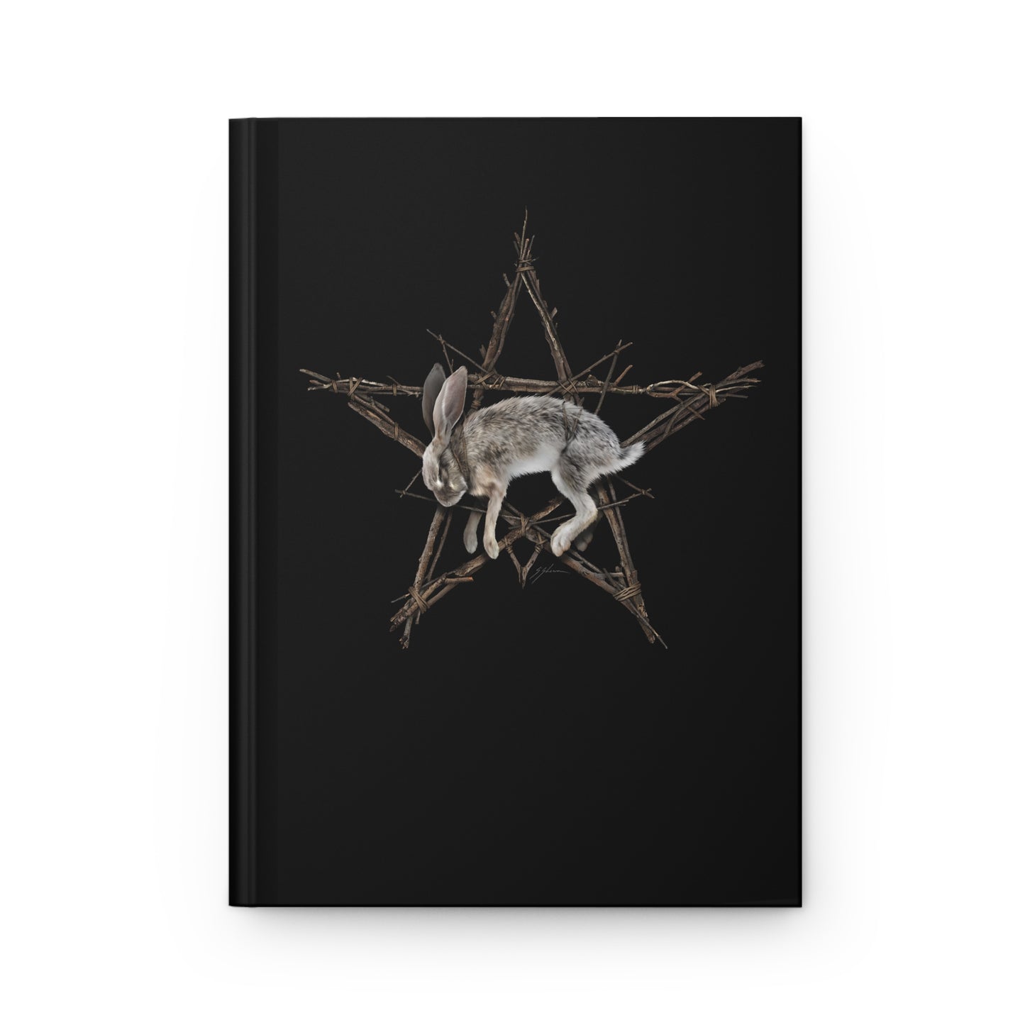 Fallen Star dark folk art journal — hare and pentagram symbol by Mister Sam Shearon