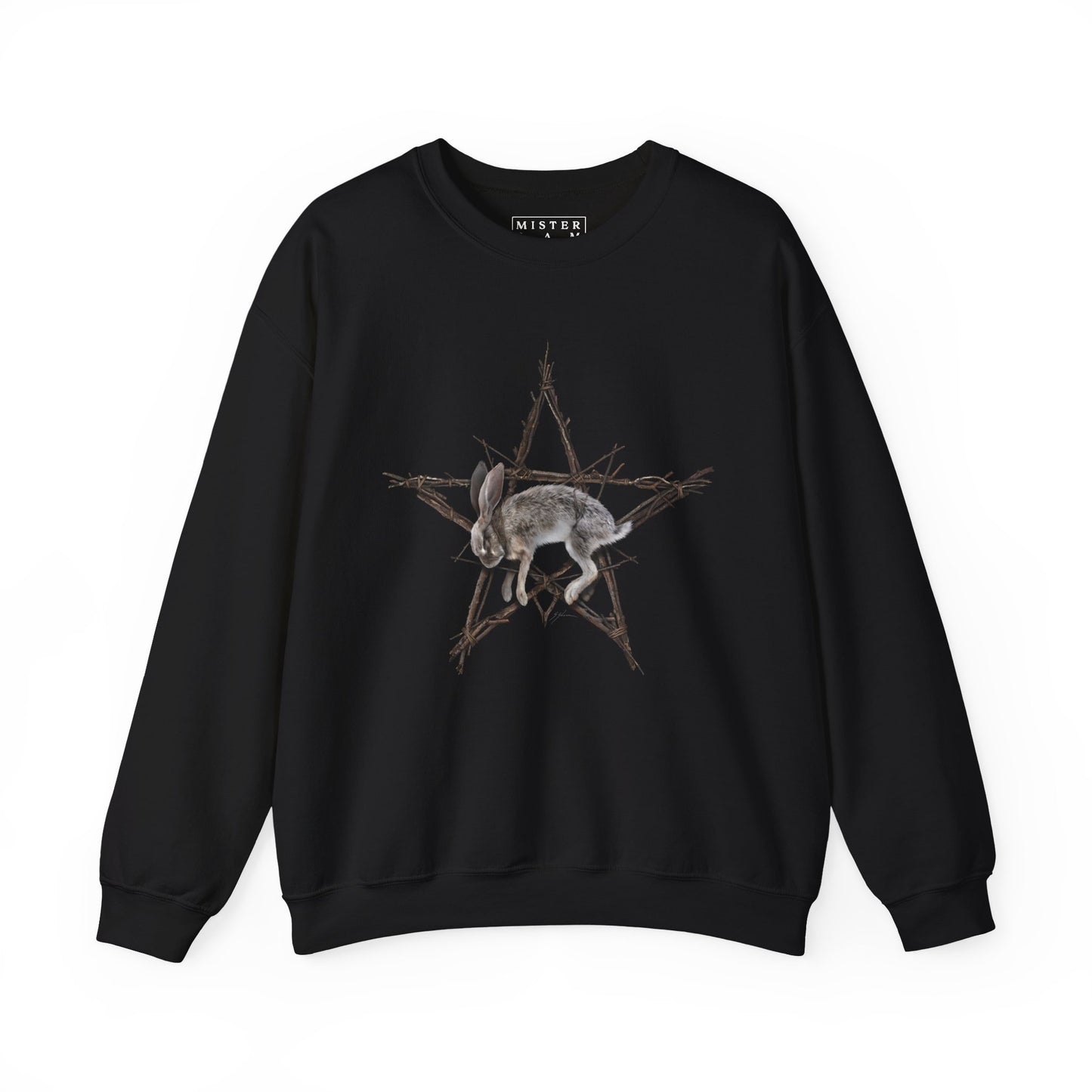 Fallen Star crewneck sweatshirt — original witchcraft dark art by Mister Sam Shearon on black Gildan heavy blend