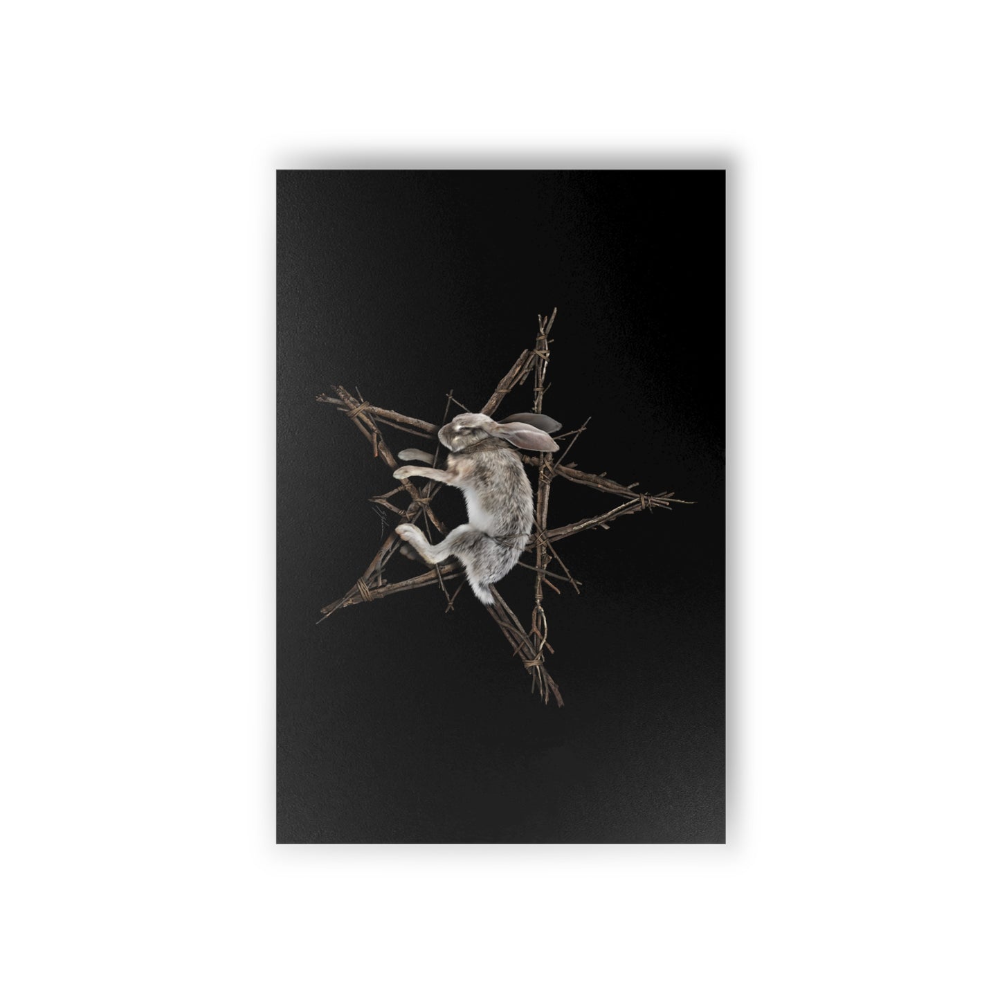 Fallen Star occult postcards — semi-glossy matte paper witchcraft rabbit pentagram print